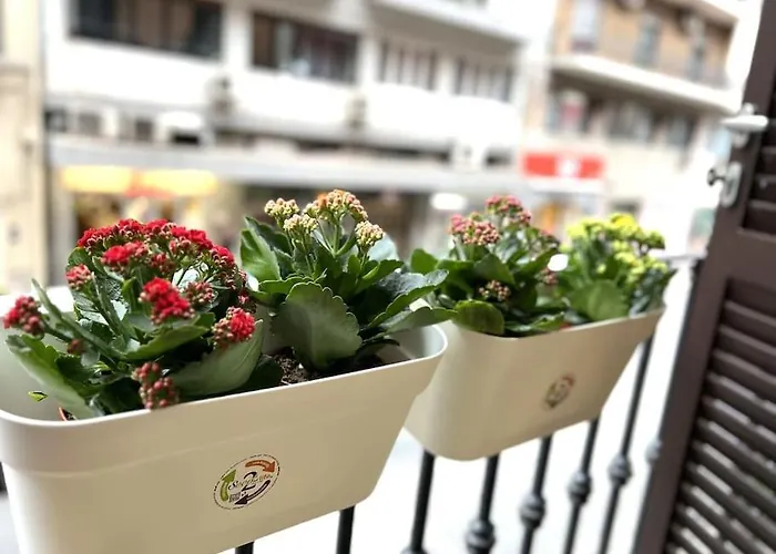 Tiny House In Centro Lejlighed *