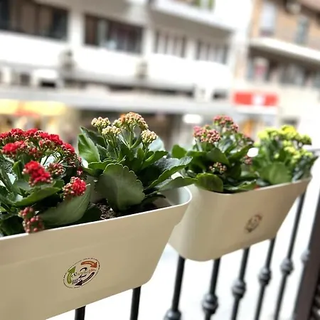 Tiny House In Centro Apartamento *